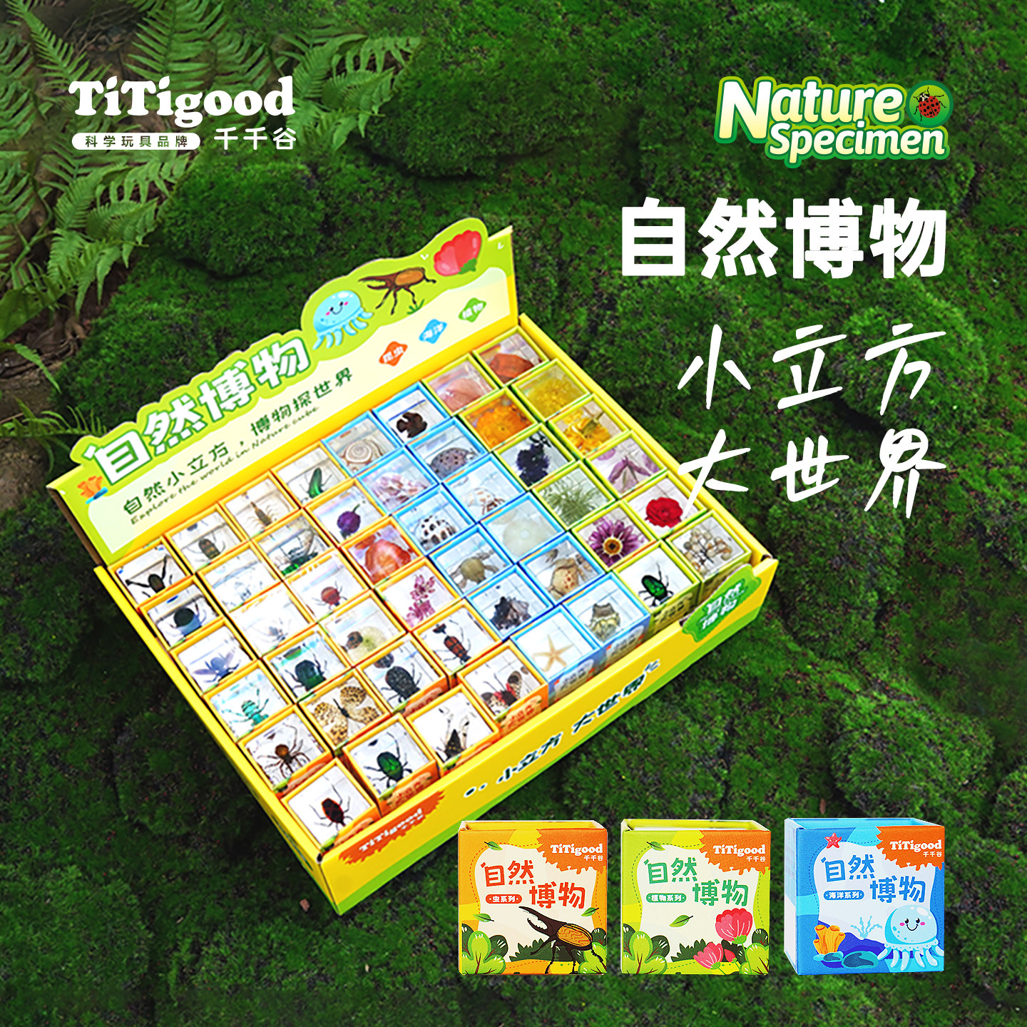 TITIGOOD千千谷魔块标本