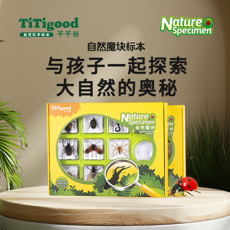 TITIGOOD千千谷自然魔块礼盒真实标本树脂玩具模型儿童学习玩具 - 实物图