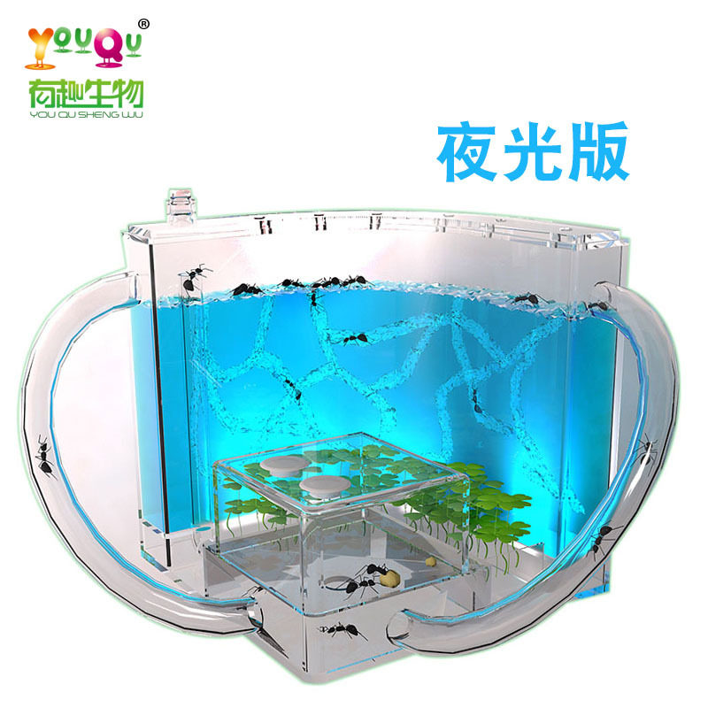 【夜光蚂蚁工坊】有趣生物蚂蚁城堡家园庄园屋科学试验生态玩具箱