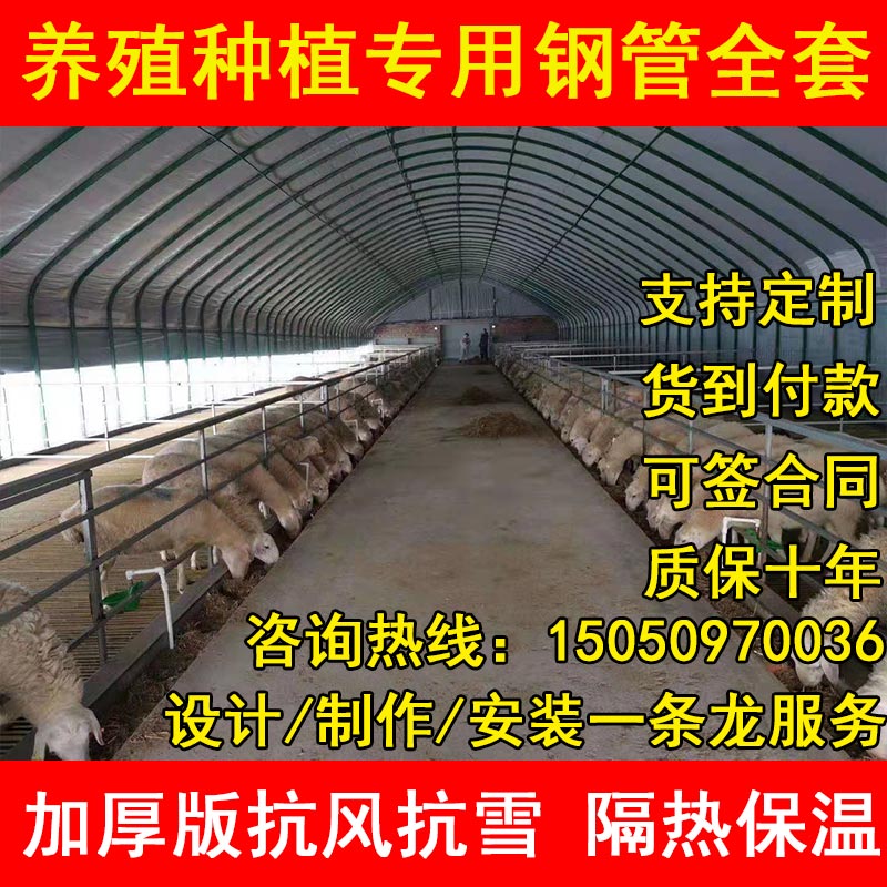 养殖大棚钢管骨架全套牛棚羊圈猪舍养鸡场专用温室种植椭圆管定制