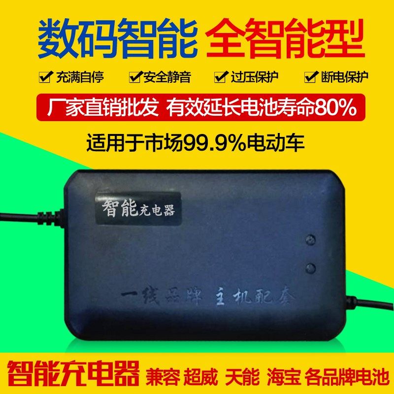 电动车充电器48V60V72V12azh/20ah台翔踏浪狮龙凯骑锡特路基亚永