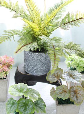 仿真植物假多肉装饰小摆件inAs绿植摆设花小盆栽室内桌面盆景