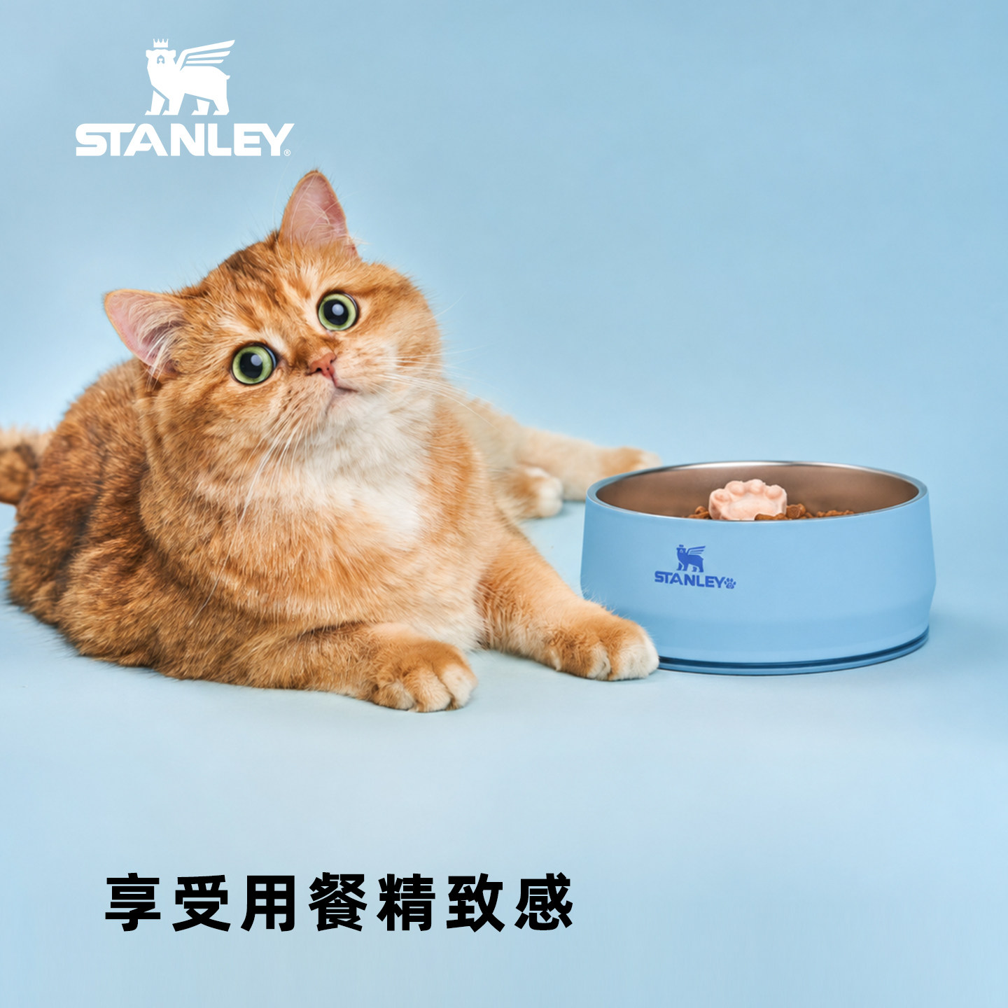 Stanley1913 宠物碗时尚高颜值不锈钢防滑防打翻大容量大口径