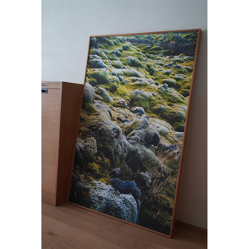 【定制画】燕子摄影作品定制 专业级艺术微喷挂画 榫卯实木画框