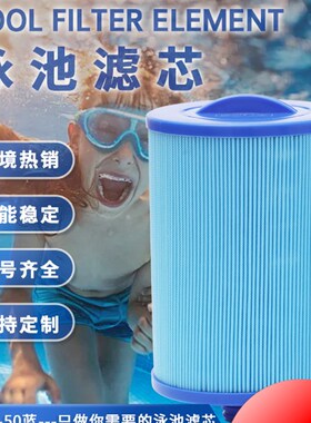 蓝色SPA浴缸儿童游泳池替代PWW50L6CH940PAS50SVFC0311泳池滤芯