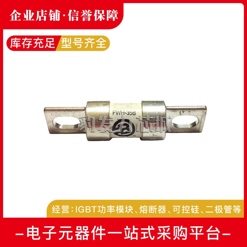 FWH-35B/40B/45B/50B/60B/70B/80B/90B/100B/120B 快速熔断器现货