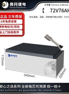 典月适用于系极核AE4 EZ4 AE5磷酸铁锂电摩大容量无损直上锂电池