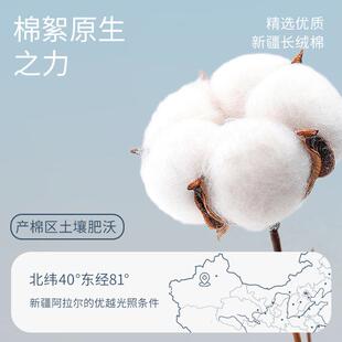 洁丽雅动物刺绣纯棉毛巾家用成人全棉洗脸巾面巾擦脸巾加厚吸水