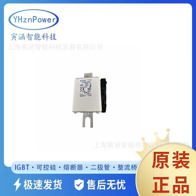 全新熔断器/保险丝170M5260 170M5261 170M5262 170M5263现货