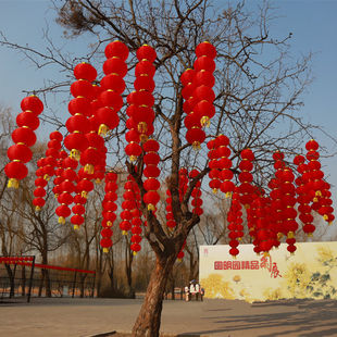 布景美食街灯屋檐树挂灯笼创意大中小连串喜庆户外防水大红灯笼串