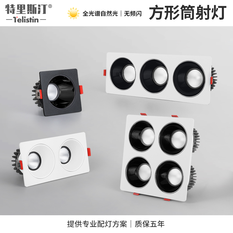 优选单头双头三头四头嵌入式射灯无主灯长方形防眩天花吊顶格栅灯