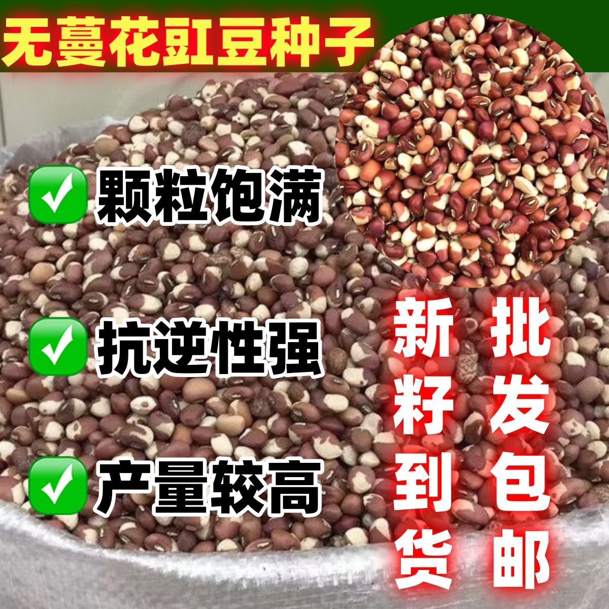 无蔓花豇豆种子当季新籽