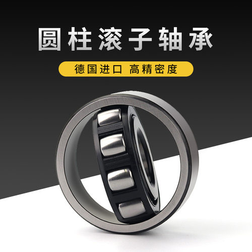 德国KBTBK进口圆柱滚子轴承N232 N234 N236 N238 N240EM