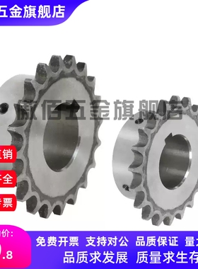 SP40B BSP40B SSP40B9 10 11 12 13 14 15-17-18-N/S 米思米链轮