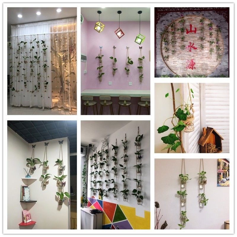 优选创意DIY壁挂玻璃水培植物麻绳花瓶 家居幼儿园墙面装饰挂件简,家居饰品,花瓶,淘宝优惠券,粉丝福利购,淘宝优惠卷
