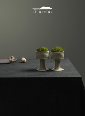 优选天青苔绿 陶瓷永生苔藓精致青苔摆件 样板间酒店会所茶室桌面