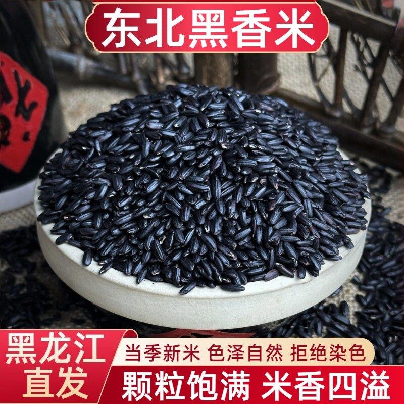 东北黑米黑香米糙米农家自产黑大米粗粮饭五谷杂粮粥健身主食5斤