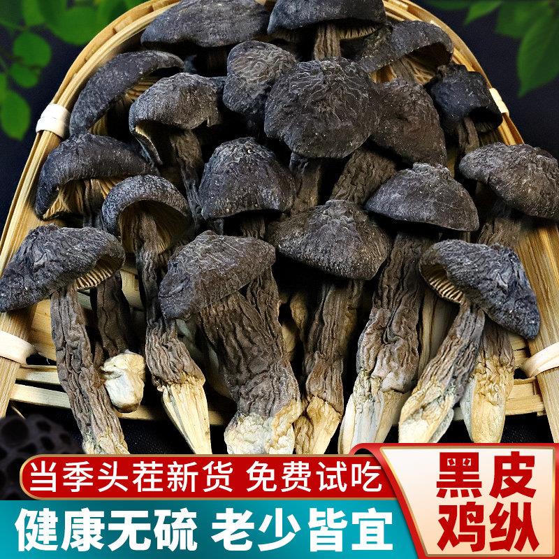 正宗云南特产黑皮鸡纵菇菌干货500g蘑山珍煲汤旗舰店种非野生新鲜