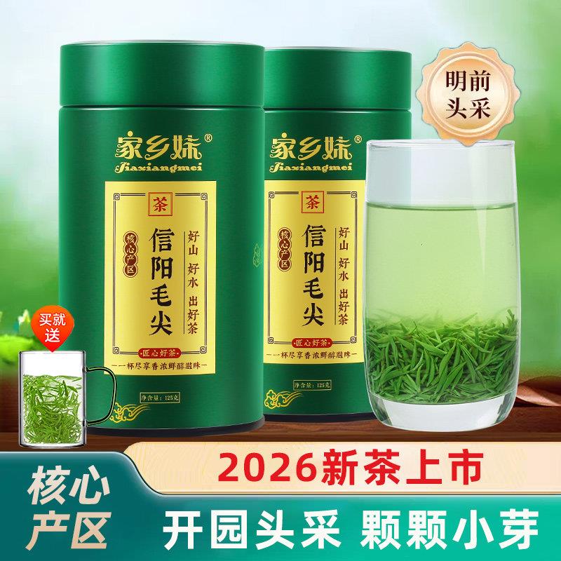 2026新茶上市信阳毛尖绿茶明前特级小嫩芽高山手工春茶叶散装250g
