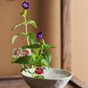花插滤水碗家居装 陶瓷插花器日式 饰品摆件复古粗陶碗茶桌茶席道具