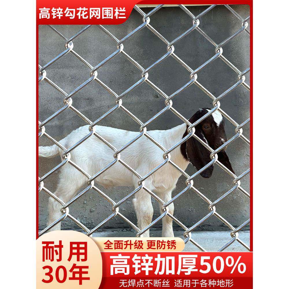 镀锌铁丝网围栏网养殖钢丝网格圈养牛羊猪狗勾花网果园养鸡护栏网