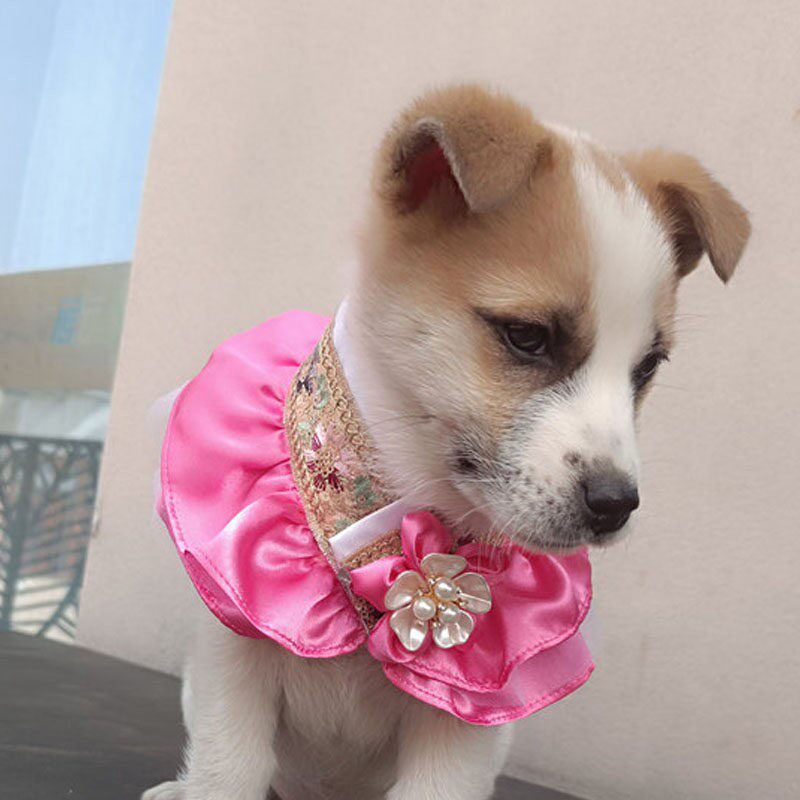 宠物韩服围脖三角巾柴犬比熊泰迪猫咪狗狗口水巾围兜大中小型通用