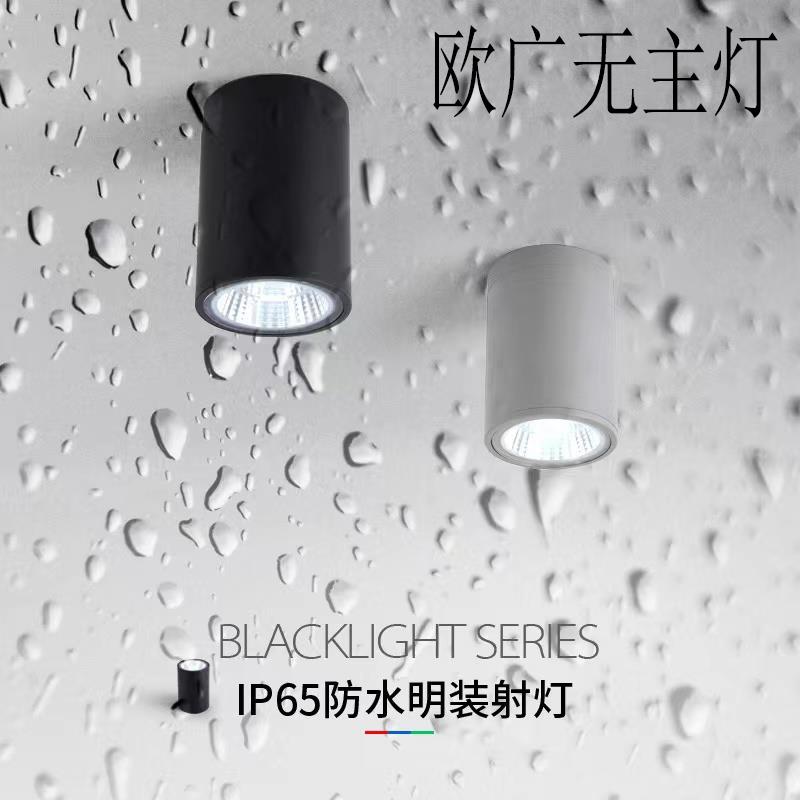 明装防水射灯筒灯沐浴卫生间阳台圆形吸顶灯雨棚酒店地下室户外灯
