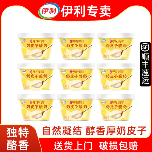 伊利奶皮子酸奶【顺丰发货】低温冷藏原味138g杯装内蒙古厚奶皮