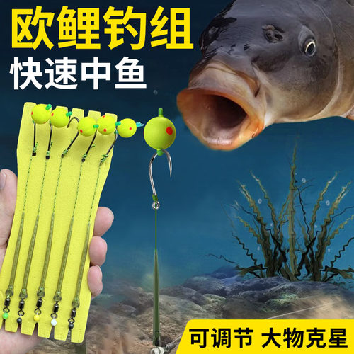 纵横渔反离底鲤鱼浮珠欧式钓法