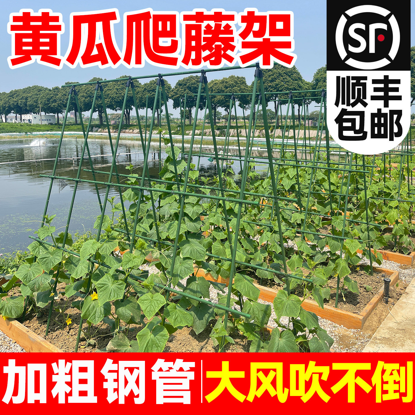 黄瓜爬藤架豆角架杆西红柿支撑杆种菜搭架子庭院葡萄种植箱爬藤架