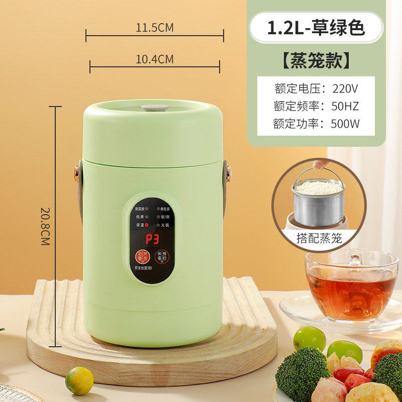 网红款电炖锅便携煲汤煮粥神器可透视不锈钢电煮锅多功能预约