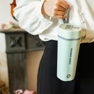 外贸110V烧水杯电热水杯小型便携旅行加热水杯便携烧水壶