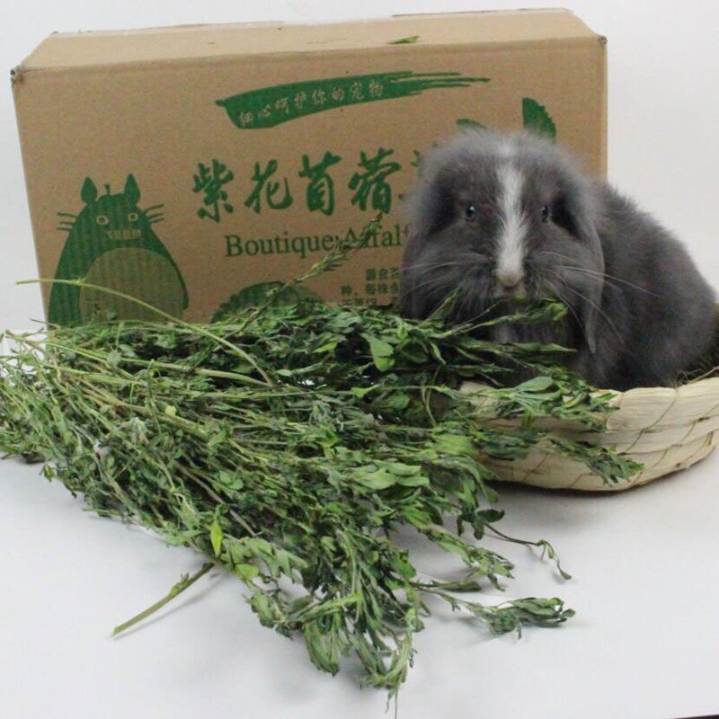宠味熊苜蓿草干草饲料幼兔兔子草龙猫草草粮牧草兔粮苜宿草