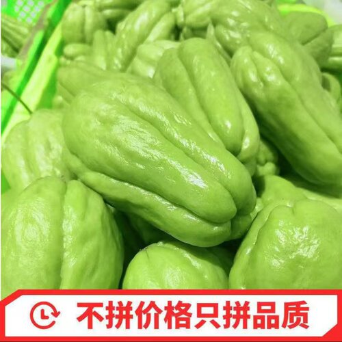 贵州佛手瓜批发特价蔬菜应季蔬菜寿瓜洋丝瓜丰收窝瓜捧瓜孕妇蔬菜