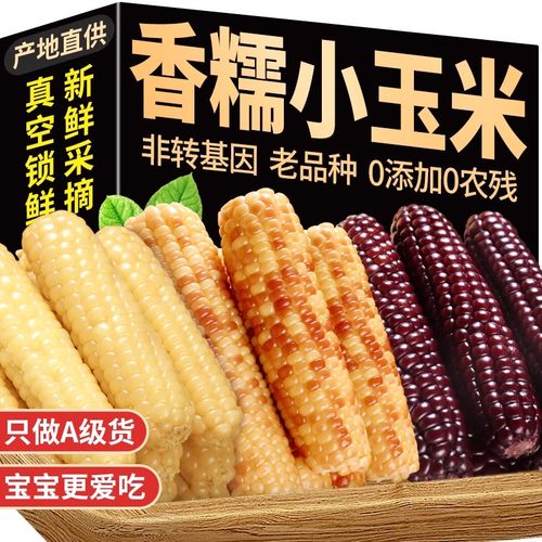 云南西双版纳拇指小玉米新鲜甜