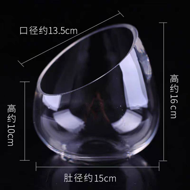 多肉玻璃水培植物花瓶透明景观鱼缸斜口绿萝水培花盆水培器皿桌面,鲜花速递/花卉仿真/绿植园艺,花瓶,淘宝优惠券,粉丝福利购,淘宝优惠卷