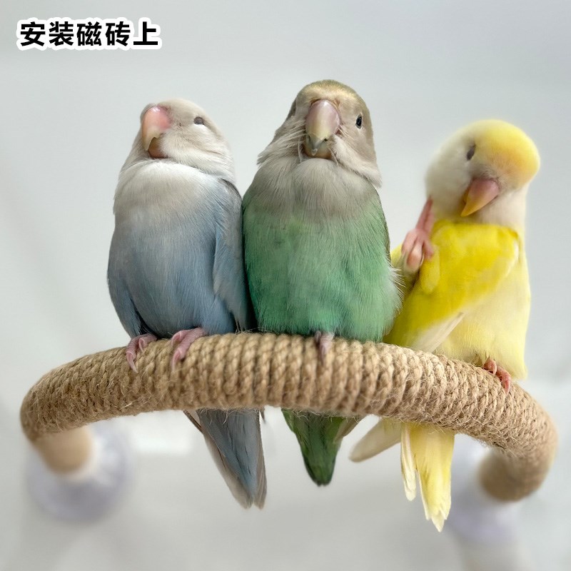 乐鸟匠鹦鹉U形站架吸盘安装笼子玻璃磁砖可弯曲麻绳多用站杠爬棍