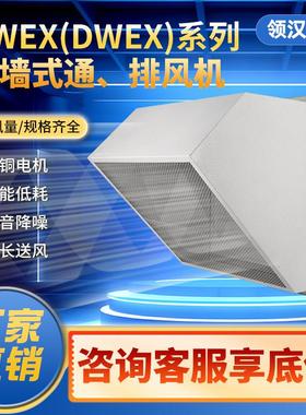 边墙轴流风机DWEX方形壁式防爆防腐防雨工业排风低噪音静音抽风机