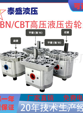 齿轮泵CBN-F304/F306/F308/F310/F312/F314/F316/F318/F320/F325