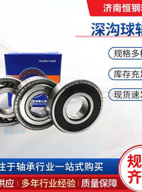 98205 球轴承 99502H 63/22 SC205 63/28 6700 1602 98305 SC0563