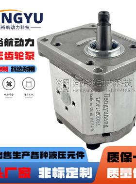 高泰克Galtech齿轮泵2SP140 2SPA160 2SPA080DSAEA 1SPA6.3液压泵