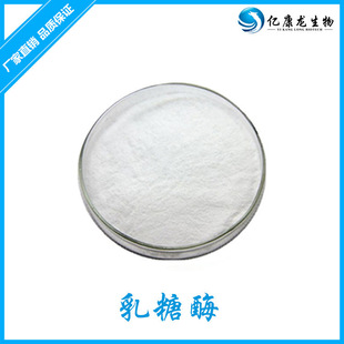 乳糖酶酶制剂 β-半乳糖苷 现货包邮长期供应