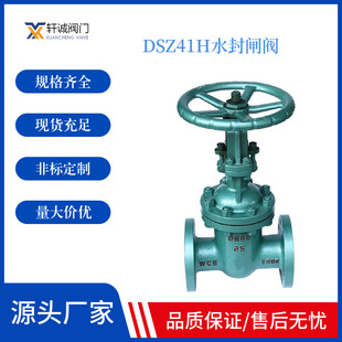 启闭灵活 Z型系列采用双闸板双向弹性密封 迅 DSZ41H水封闸阀