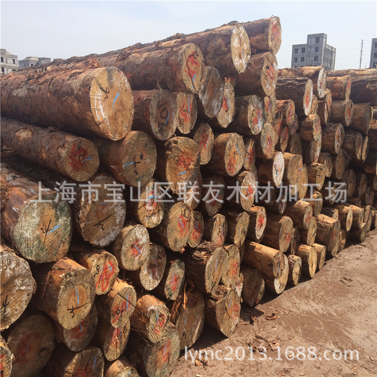 供应樟子松原木  落叶松 白松原木 工地河道打桩木 松木桩