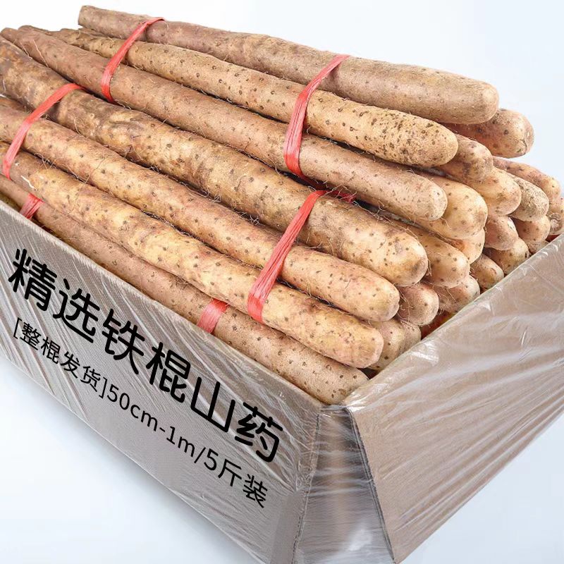 温县铁棍山药温县垆土铁棍山药正宗河南焦作新鲜淮山药特产精品真