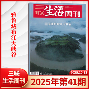 半年订阅 全年 西夏陵 哪吒 AI教育看天下读者期刊杂志非过刊 三联生活周刊杂志2025年第41期 刀郎 增刊考古中国