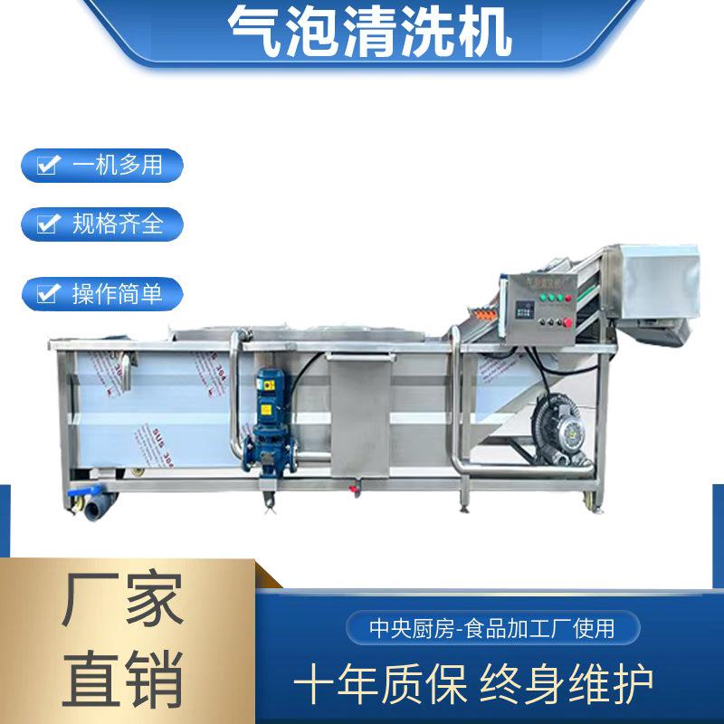 果蔬气泡清洗机小型洗浴冲浪设备3米浆果洗菜机高压清洗机