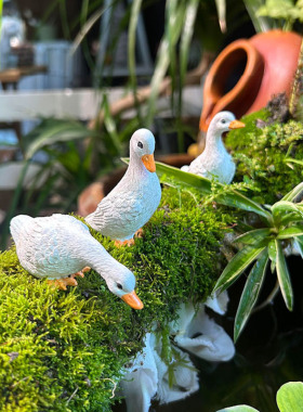 优选露台装饰庭院花园造景户外小院微景观鸭子动物科尔鸭摆件古法