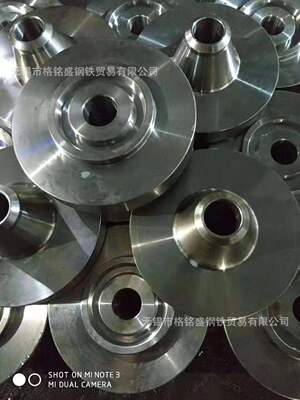 双相2205不锈钢法兰 2205平焊法兰 突面板式平焊法兰2205 现货