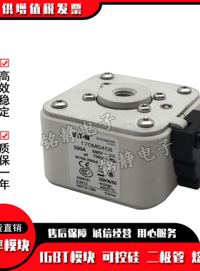 170M6458 170M6459 170M6460 170M6461 170M6462巴斯曼熔断器现货